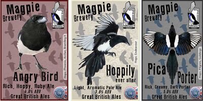 Magpie-News-Images.jpg