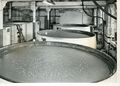 The original fermenting room: 1963