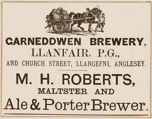 File:Roberts Anglesey ad 1874.jpg