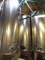 Three 50hL tall fermenters by Albrigi