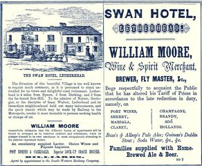 File:Swan Leatherhead ad 1865.jpg