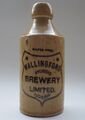 Wallingford Brewery Oxon bottle.jpg