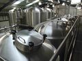 The four 100hL fermenters viewed from the walkway by the nine 50hL single brew vessels