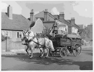File:Watney Horse drawn dray c1960.jpg