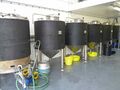 Cold liquor tank on the left and five S&W 12hL conical fermenters