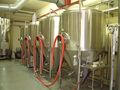 Four 10 brl conical fermenters in the Lions Den