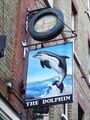 Dolphin 2006