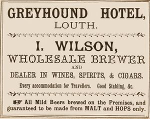Greyhound Louth wilson 1901.jpg