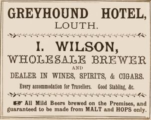 File:Greyhound Louth wilson 1901.jpg