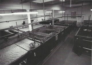 File:EssexRidleyPC8 Fermenting Vessels.jpg