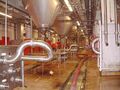 View of the fermentation working area