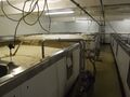 The fermenting room with open vessels