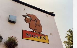 Moles Bath 1996.jpg