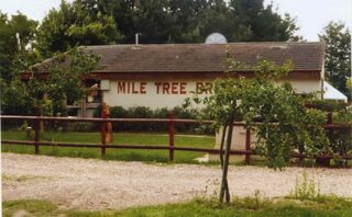 File:Wisbech Mile Tree 2015 b.jpg
