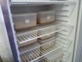 Yeast is kept in plastic Tupperware containers in the fridge