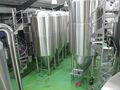 Yet another view of the fermenters