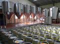 Five conical bottomed fermenters can hold 18 brl each