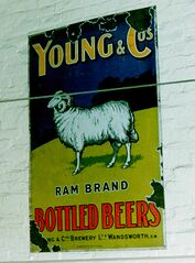 File:Young & Co's bottled beers.jpg