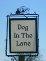 Dog in the Lane, Astley, 2011