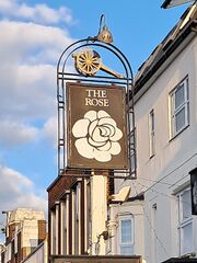 File:BexleyheathRose2025bb SP.jpg